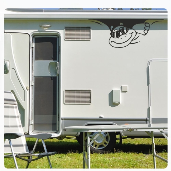 Schildkröte Sticker Aufkleber Autoaufkleber Cool Sonnenbrille Wohnmobil Aufkleber WoMo107